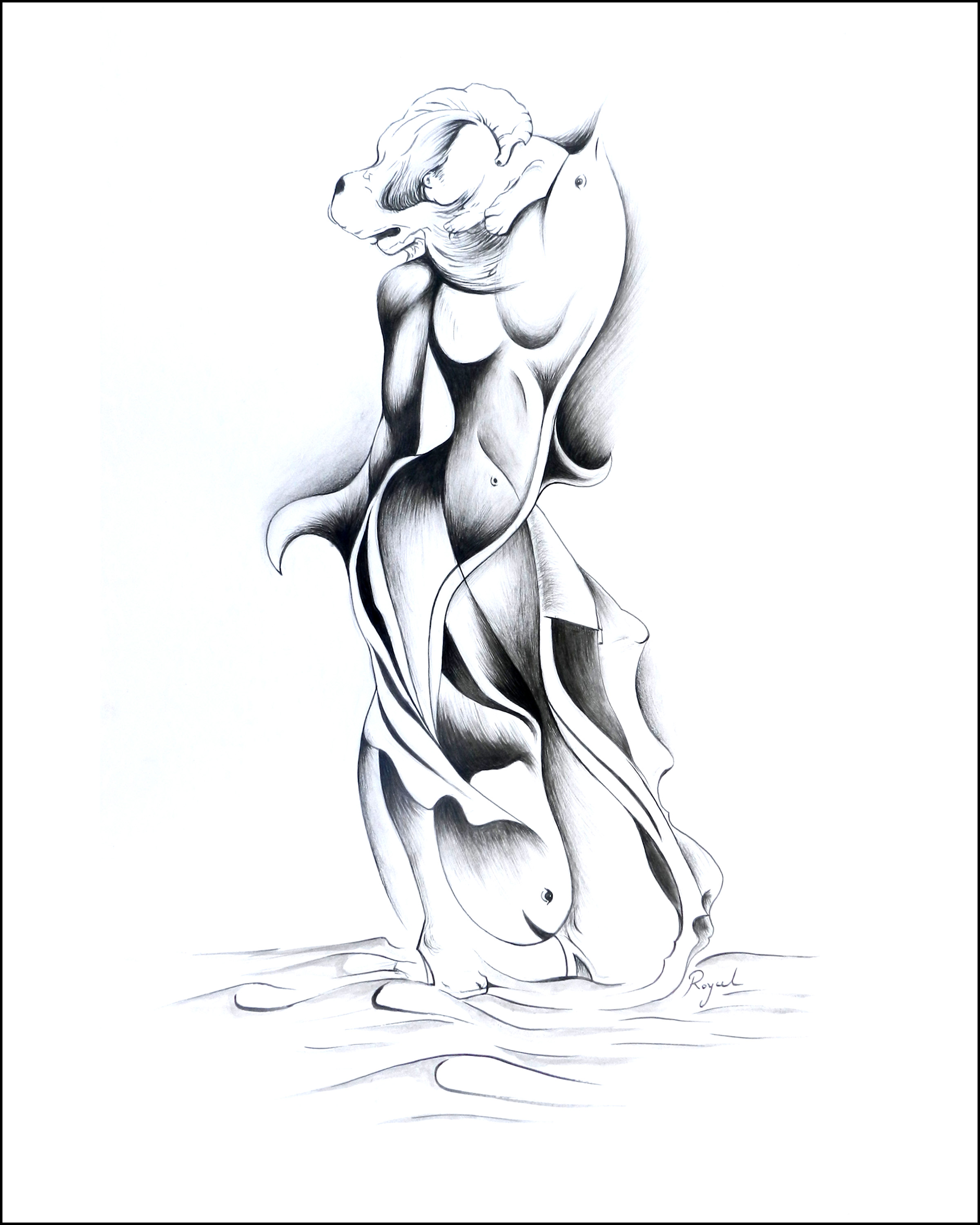 The Aquatic Shift
