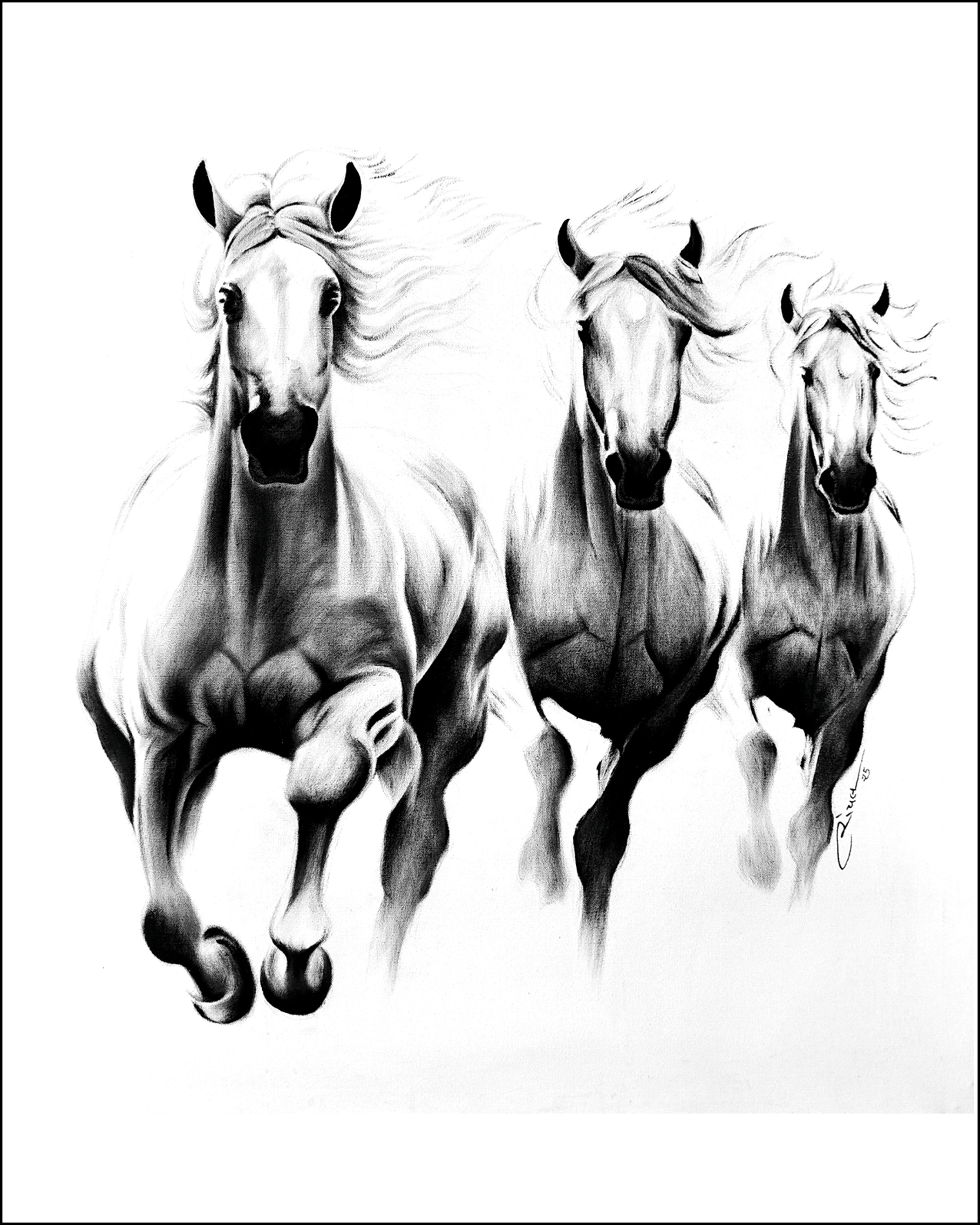 Trinity of Freedom