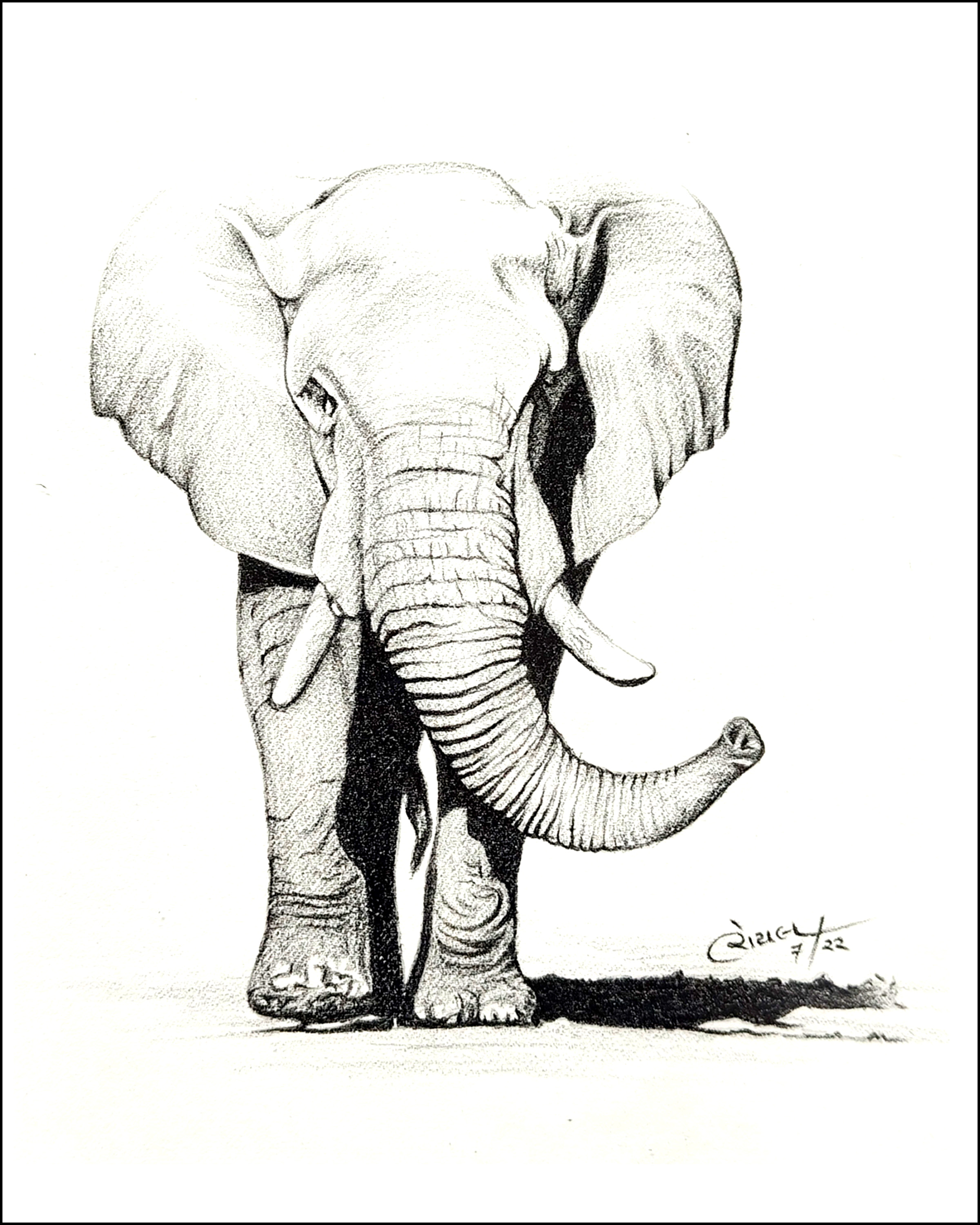 Gentle Giant